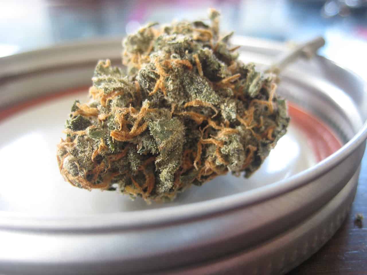 האם שמן CBD יכול להיות ממכר