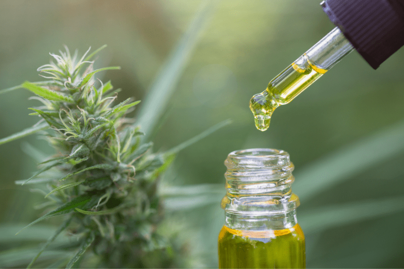 האם קרם CBD יכול לסייע לכאבי גב?
